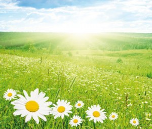 Hope for Fibromyalgia