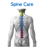 Chiropractic Spine Care